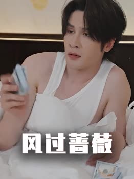 风过蔷薇封面