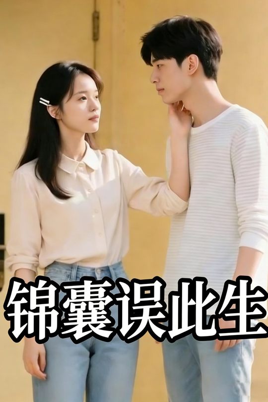 锦囊误此生封面