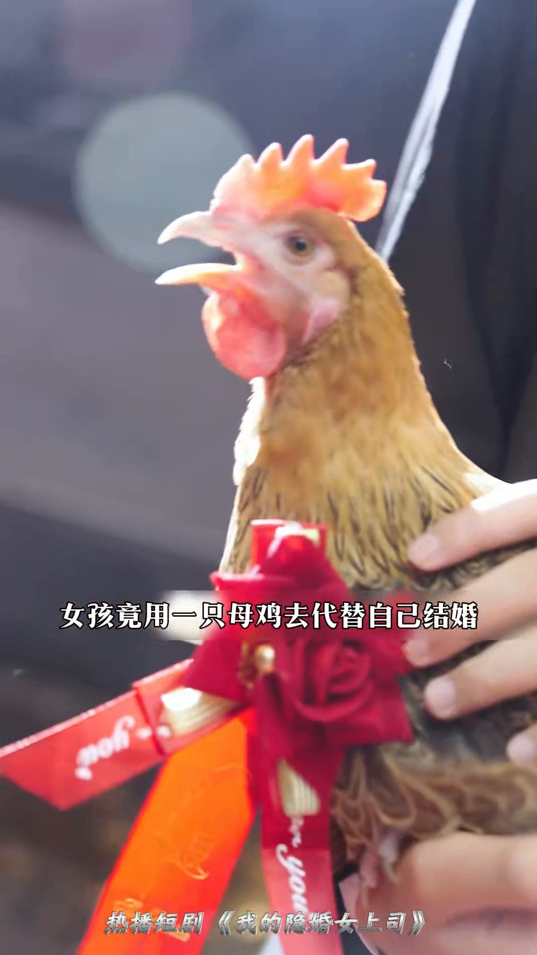 我的隐婚女上司封面