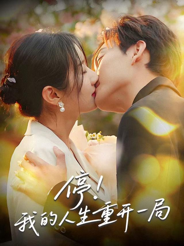 停我的人生重开一局封面