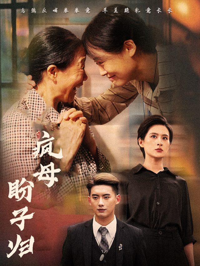 疯母盼子归封面