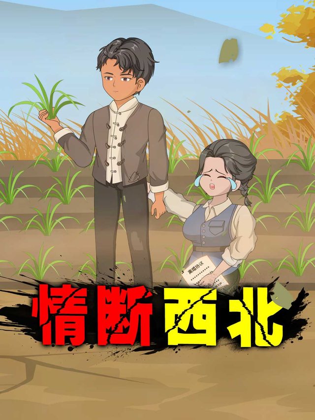 情断西北封面