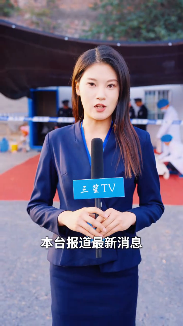 别惹老实人封面