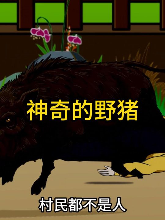 神奇的野猪封面