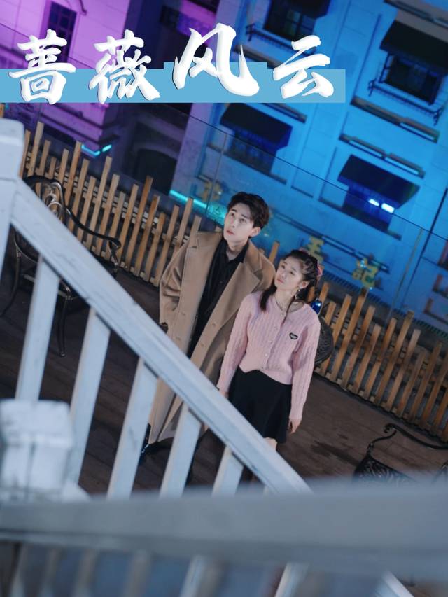 蔷薇风云封面