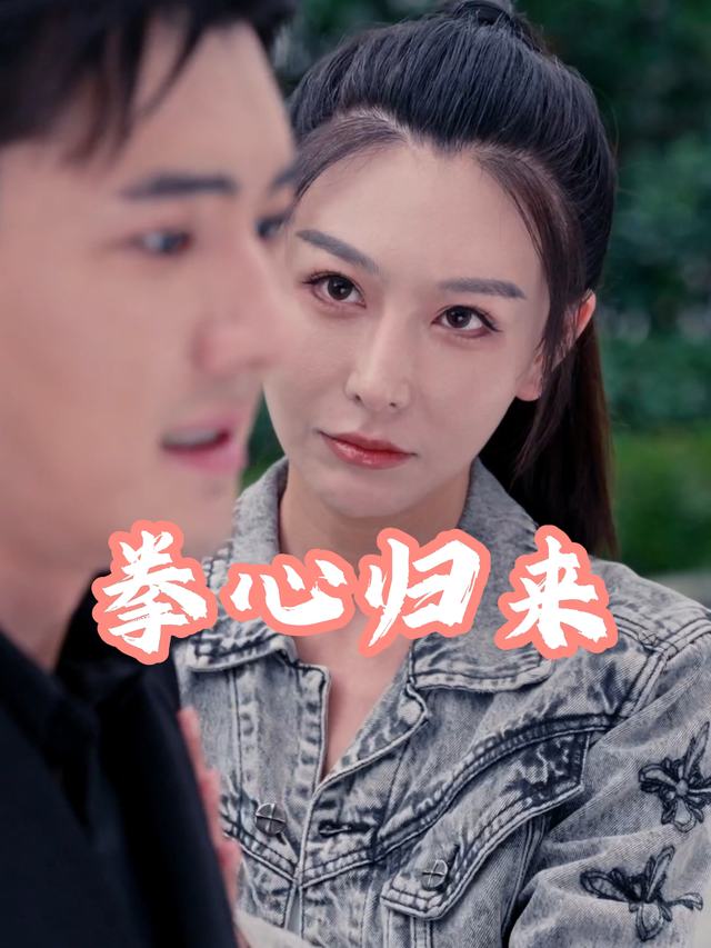 拳心归来封面