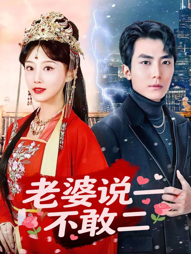 老婆说一不敢二封面
