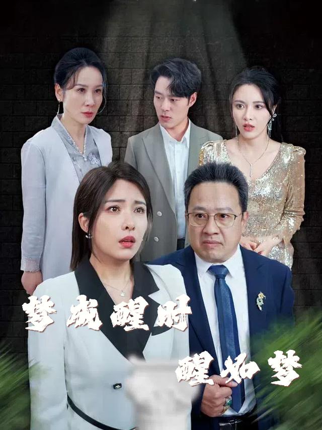梦成醒时醒如梦封面