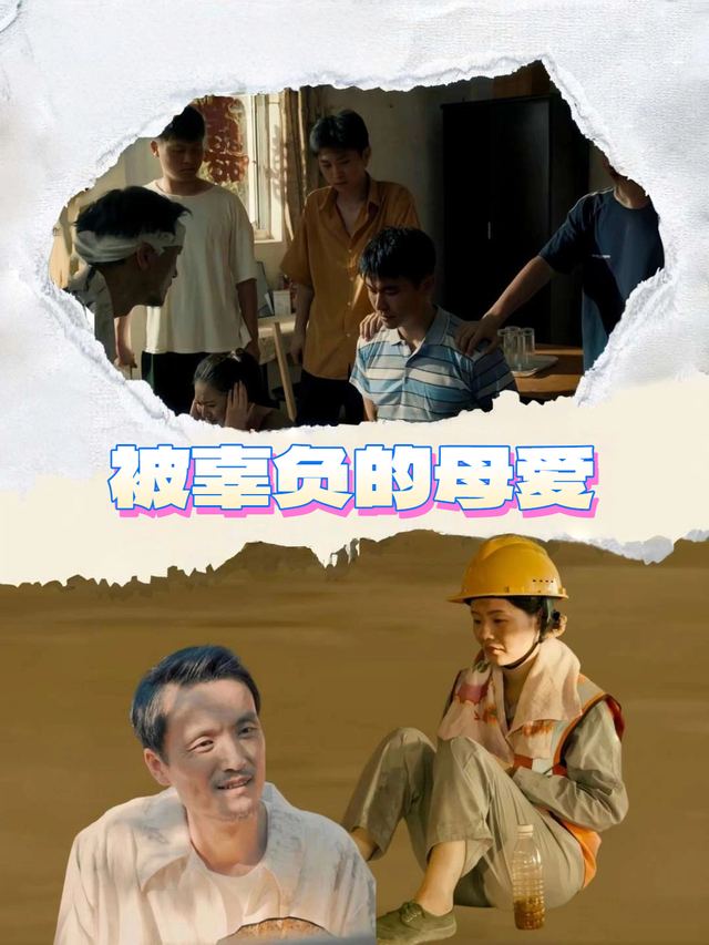 被辜负的母爱封面