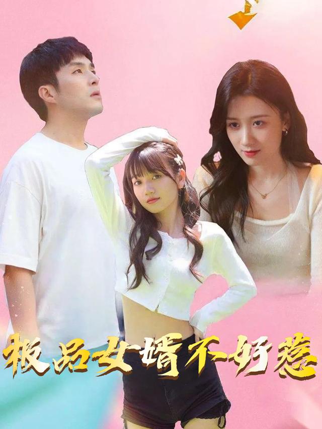 极品女婿不好惹封面