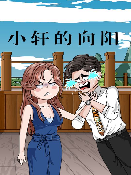 小轩的向阳封面