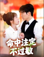 命中注定不过敏封面