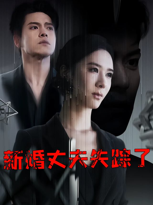新婚丈夫失踪了封面