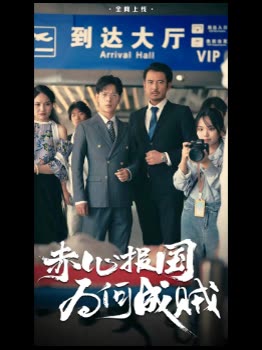 赤心报国,为何成贼封面