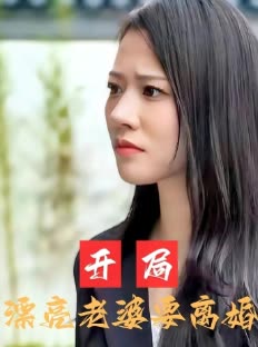 开局漂亮老婆要离婚封面