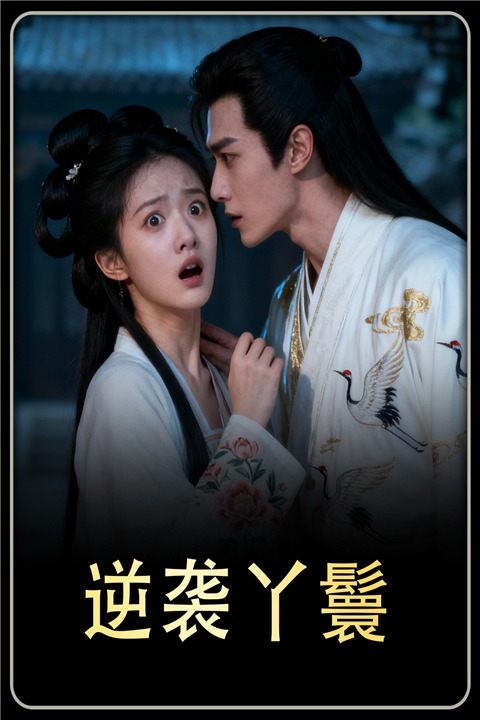 逆袭丫鬟封面