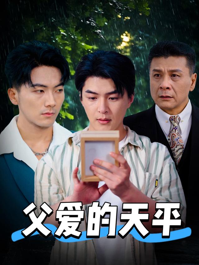 父爱的天平封面