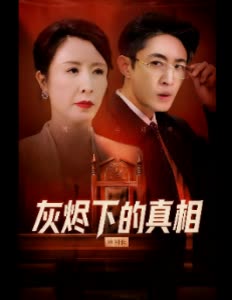 灰烬下的真相封面
