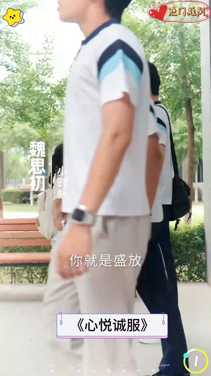 心悦诚服封面