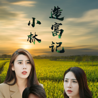 小林造富记封面