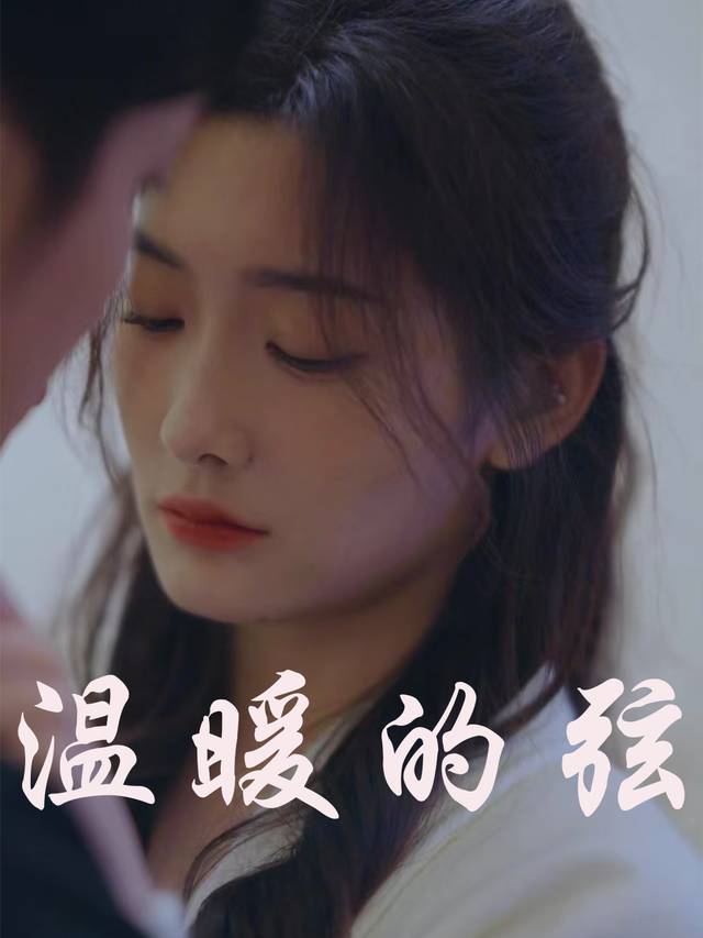 温暖的弦封面