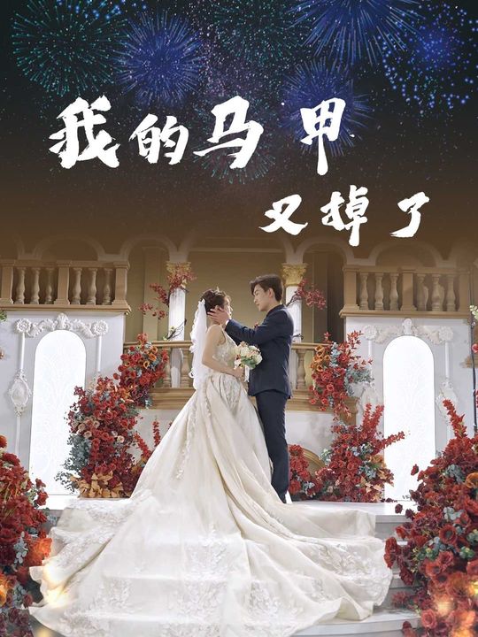我的马甲又掉了封面