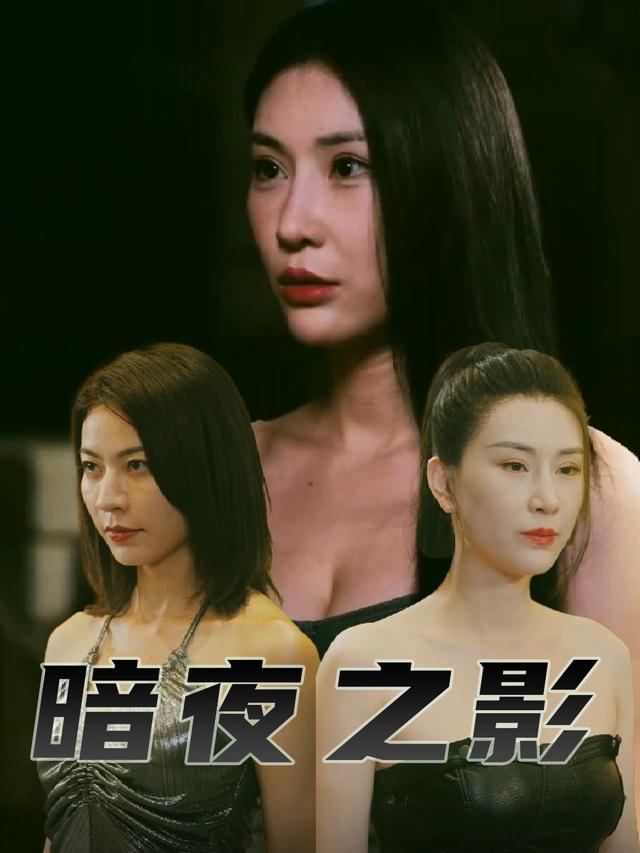 暗夜之影封面