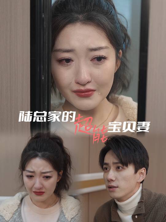 陆总家的超能宝贝妻封面