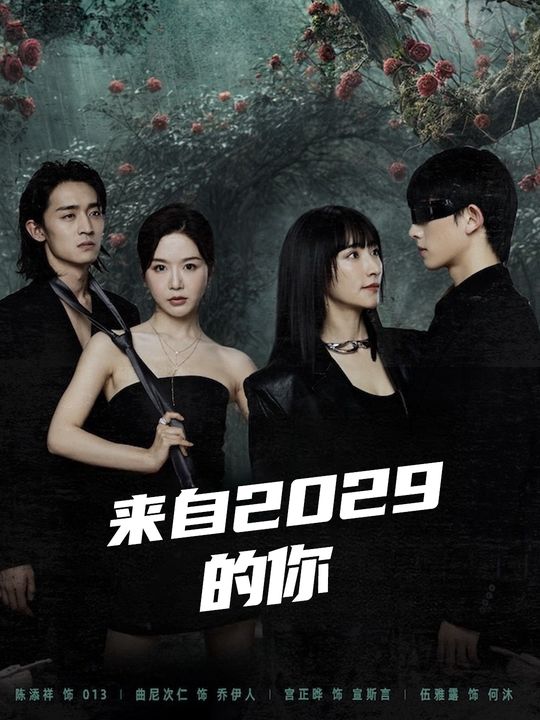 来自2029的你封面