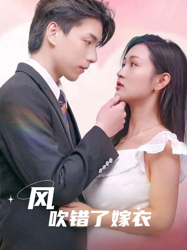 风,吹错了嫁衣封面