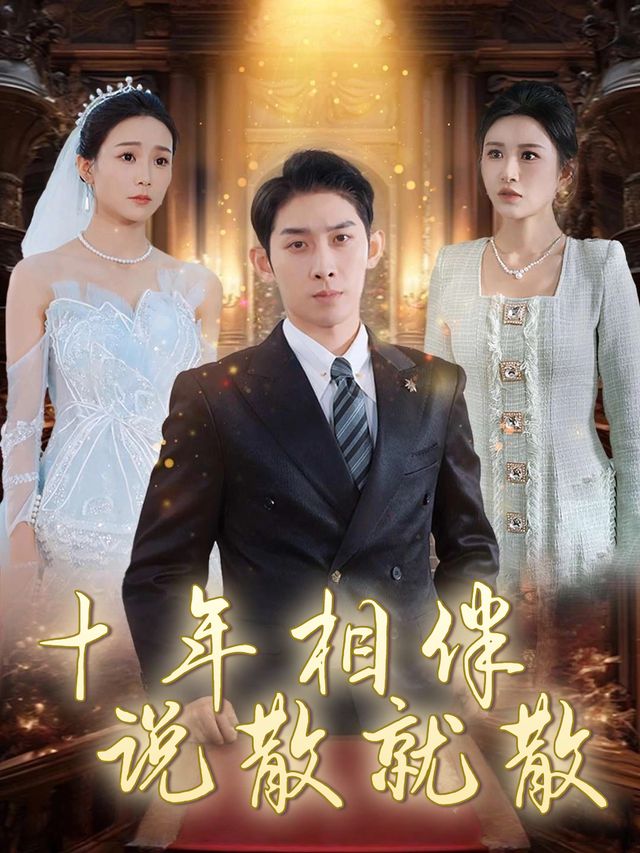 十年相伴说散就散封面
