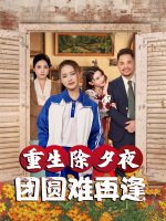 重生除夕夜,团圆难再逢封面