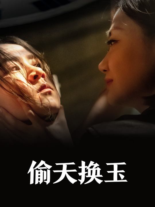偷天换玉封面