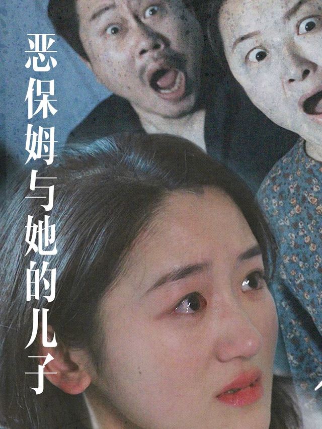 恶保姆与她的儿子封面