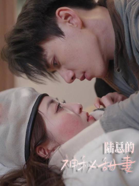 陆总的神秘甜妻封面