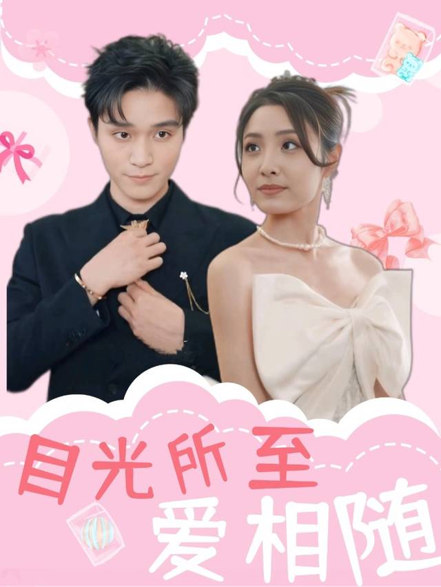 目光所至爱相随封面
