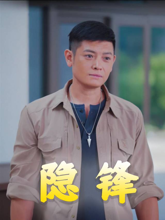 隐锋封面