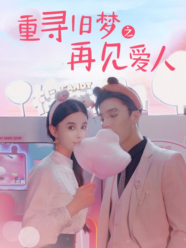 重寻旧梦之再见爱人封面