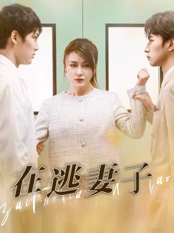 在逃妻子封面