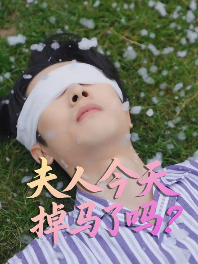夫人今天掉马了吗封面