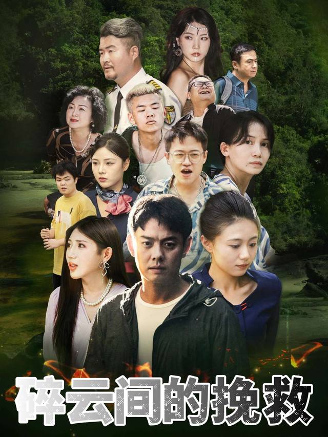碎云间的挽救封面