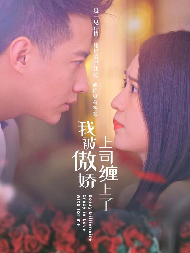 我被傲娇上司缠上了封面