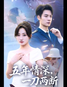 五年情深,一刀两断封面