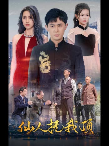 仙人抚我顶封面