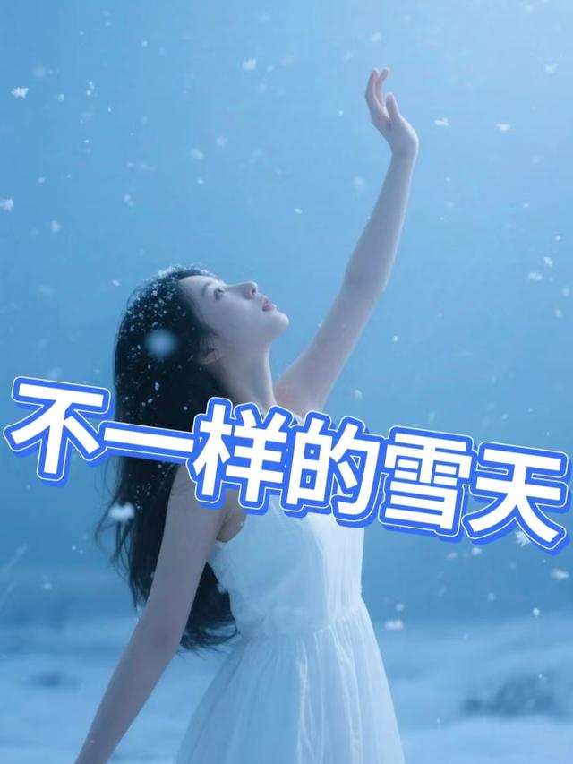 不一样的雪天封面