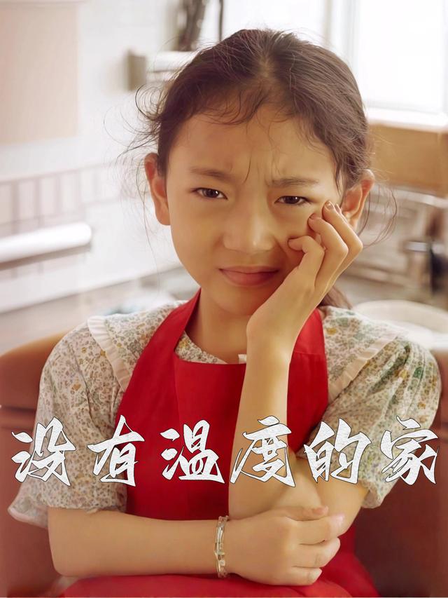 没有温度的家封面