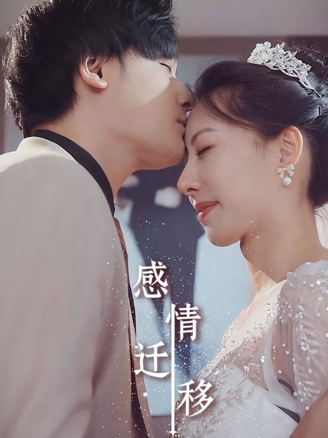 感情迁移封面