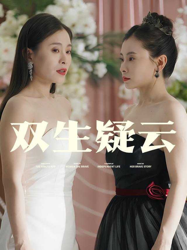 双生疑云封面