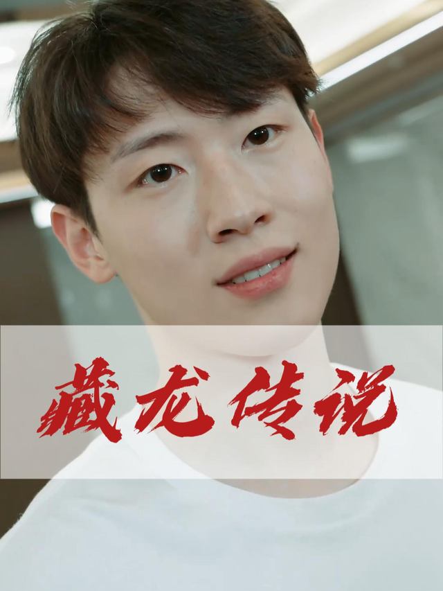 藏龙传说封面