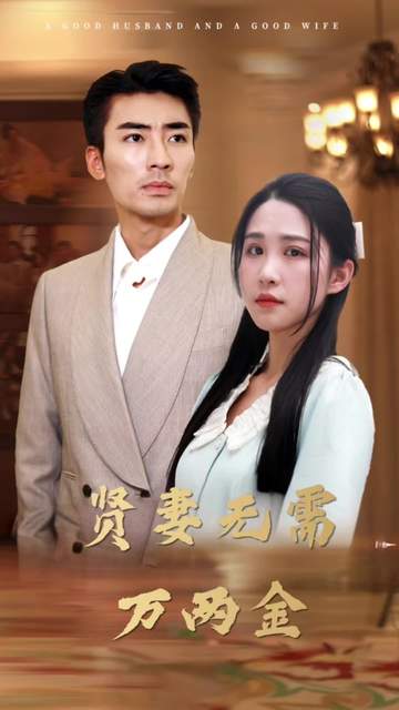 贤妻无需万两金封面